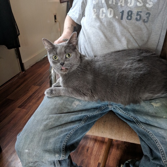 👉Meet your posher👈 Danielle - Picture 2 of 7